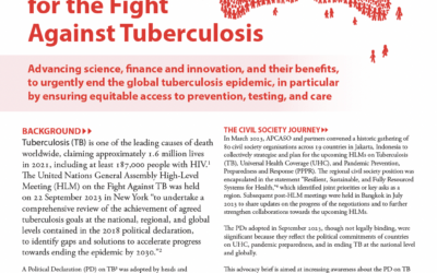 2023 Political Declaration on TB Advocacy Brief